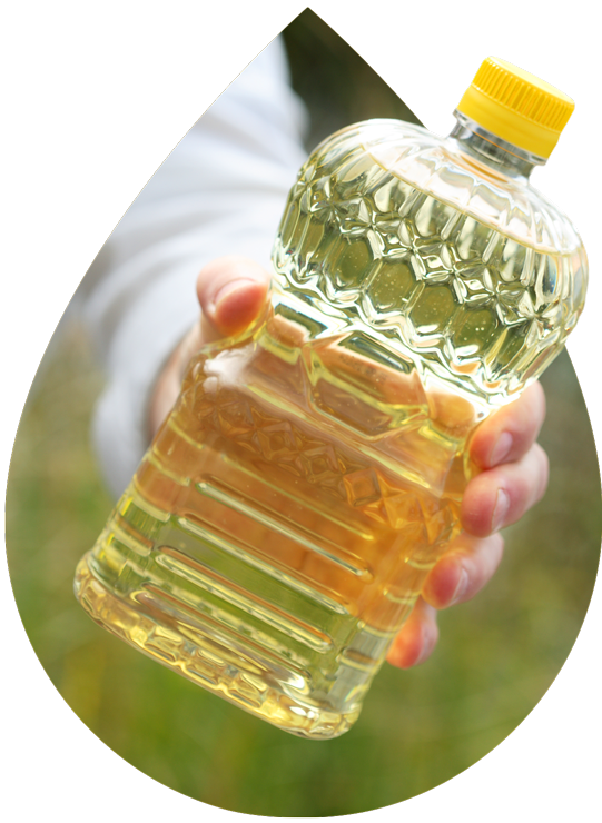 Hand reaching for a bottle of canola oil.